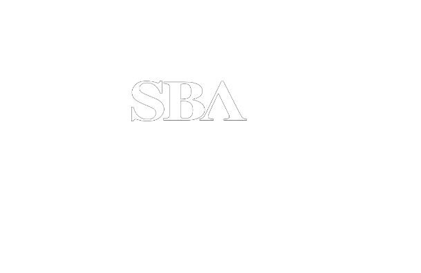 Razor Consulting Solutions - Government Contracting