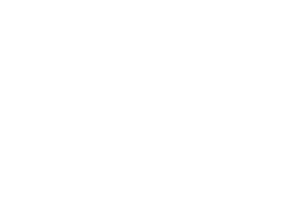 CONTRACTING_TRANSPARENT_WBENC CONTRACTING_TRANSPARENT_WBENC